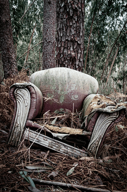 Blog image chair in bush